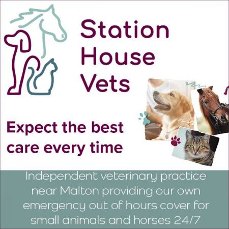 Things to do in Malton & Pickering visit Station House Vets