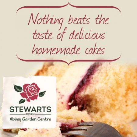 Things to do in Portsmouth visit Stewarts Abbey Garden Centre