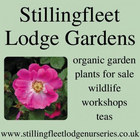 Things to do in York visit Stillingfleet Lodge Gardens