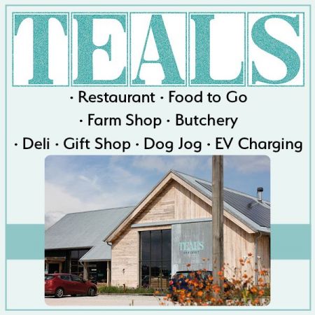 Things to do in Yeovil visit Teals