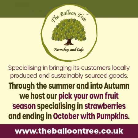 Things to do in Bridlington and Filey visit The Balloon Tree