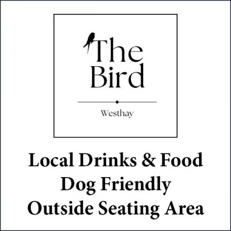 Things to do in Shepton Mallet, Wells & Glastonbury visit The Bird