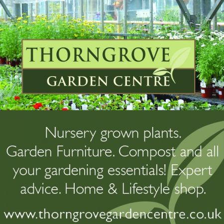 Things to do in Shaftesbury & Gillingham visit Thorngrove Garden Centre