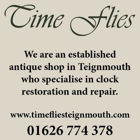 Things to do in Dawlish & Teignmouth visit Timeflies