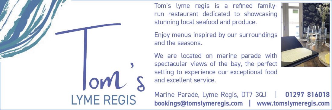 Things to do in Lyme Regis and Bridport visit Toms Lyme Regis