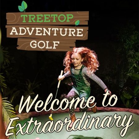 Things to do in Cardiff visit Treetop Adventure Golf