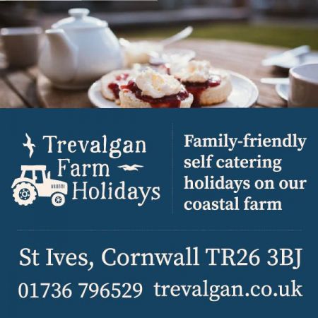 Things to do in St Ives visit Trevalgan Farm Holidays