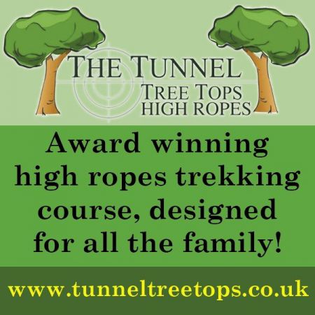 Tunnel Tree Tops
