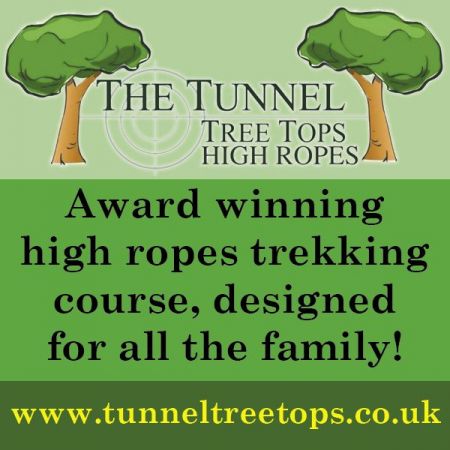 Things to do in Lyme Regis and Bridport visit Tunnel Tree Tops