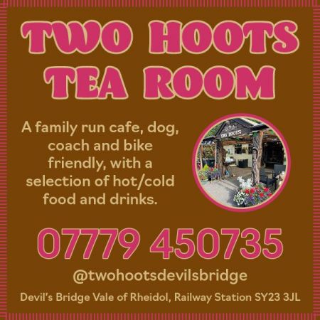 Things to do in Aberystwyth visit Two Hoots