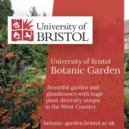 Things to do in Bristol visit University of Bristol Botanic Garden