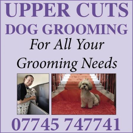 Things to do in Redcar, Marske & Saltburn-by-the-Sea visit Upper Cuts