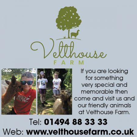 Things to do in Gloucester visit Velthouse Farm