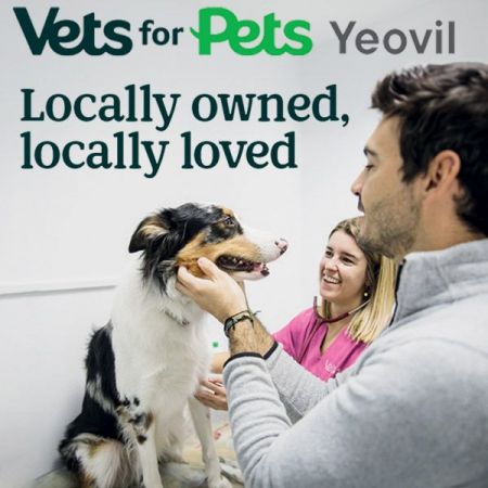 Things to do in Yeovil visit Vets4Pets