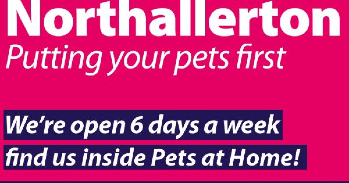 Things to do in Northallerton Visit Vets4Pets