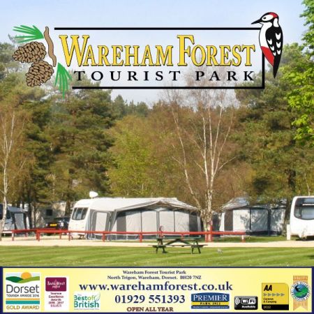 Things to do in Poole visit Wareham Forest Tourist Park