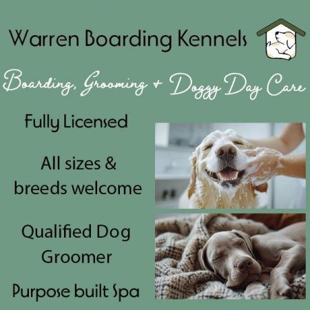 Things to do in Cromer visit Warren Boarding Kennels