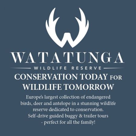 Things to do in Bury St Edmunds visit Watatunga Wildlife Reserve
