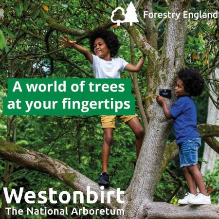 Things to do in Cirencester visit Westonbirt, The National Arboretum