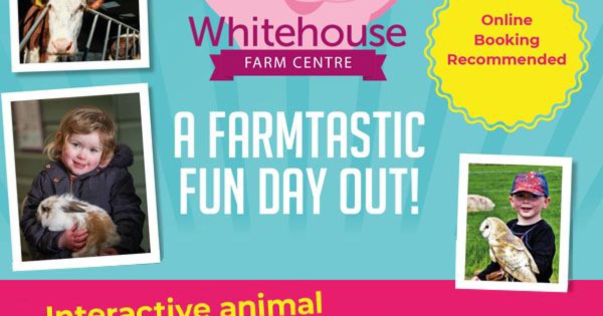 Things to do in Morpeth Visit Whitehouse Farm Centre