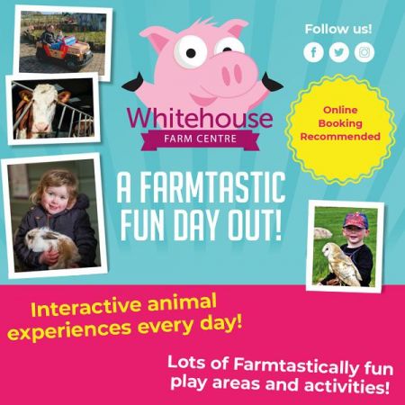Things to do in Morpeth visit Whitehouse Farm Centre