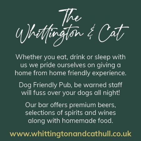 Things to do in Hull visit Whittington & Cat