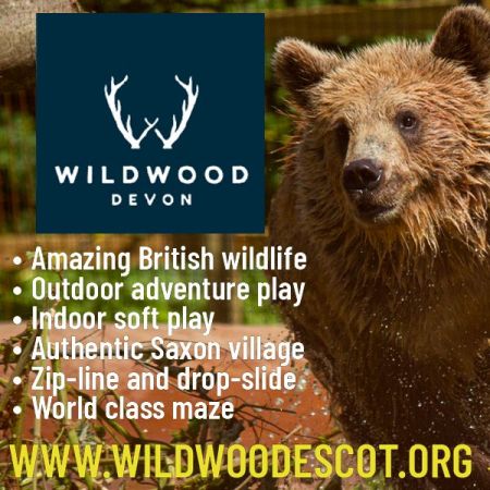 Things to do in Sidmouth & Ottery St Mary visit Wildwood Devon