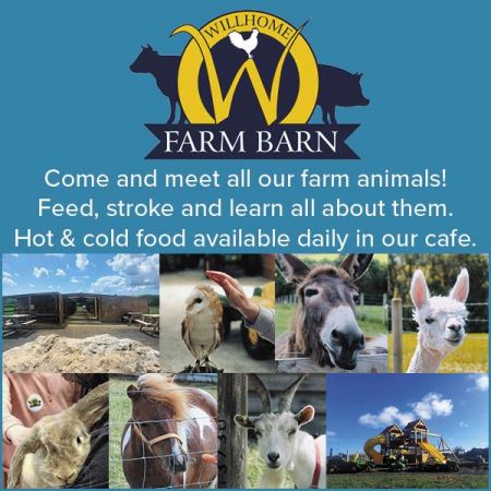 Things to do in Tenby visit Willhome Farm Barn