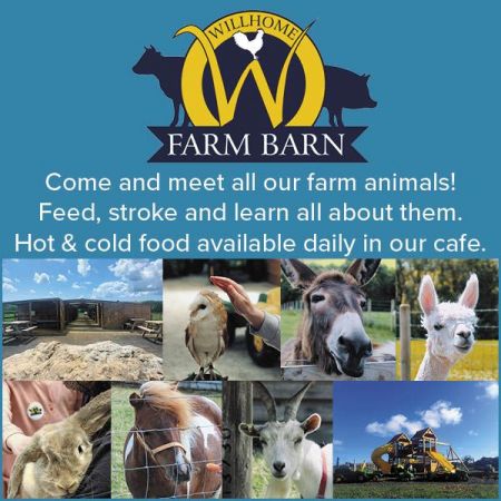 Things to do in Tenby visit Willhome Farm Barn