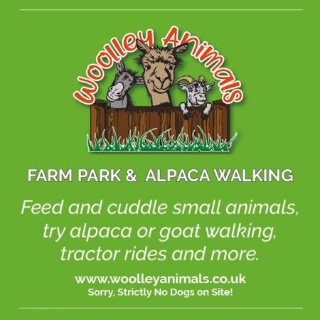 Things to do in Great Torrington & Bideford visit Woolley Animals