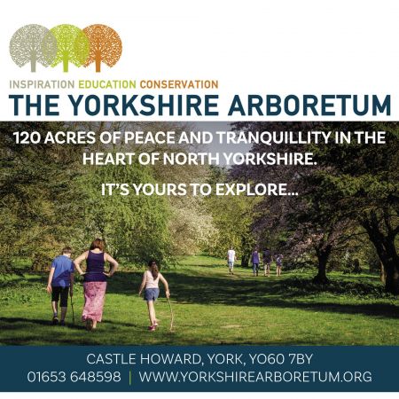 Things to do in York visit Yorkshire Arboretum