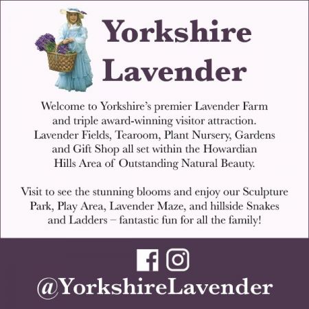 Things to do in Malton & Pickering visit Yorkshire Lavender
