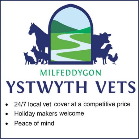 Things to do in Aberystwyth visit Ystwyth Veterinary Practice