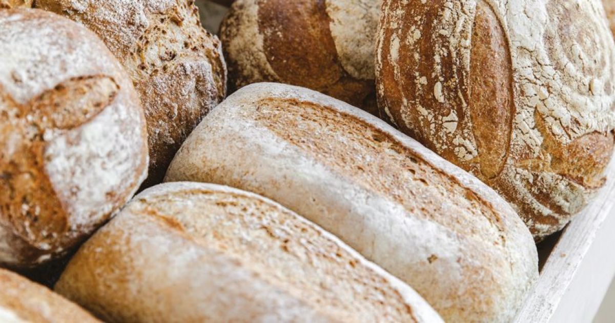 Things to do in Falmouth Visit Baker Tom