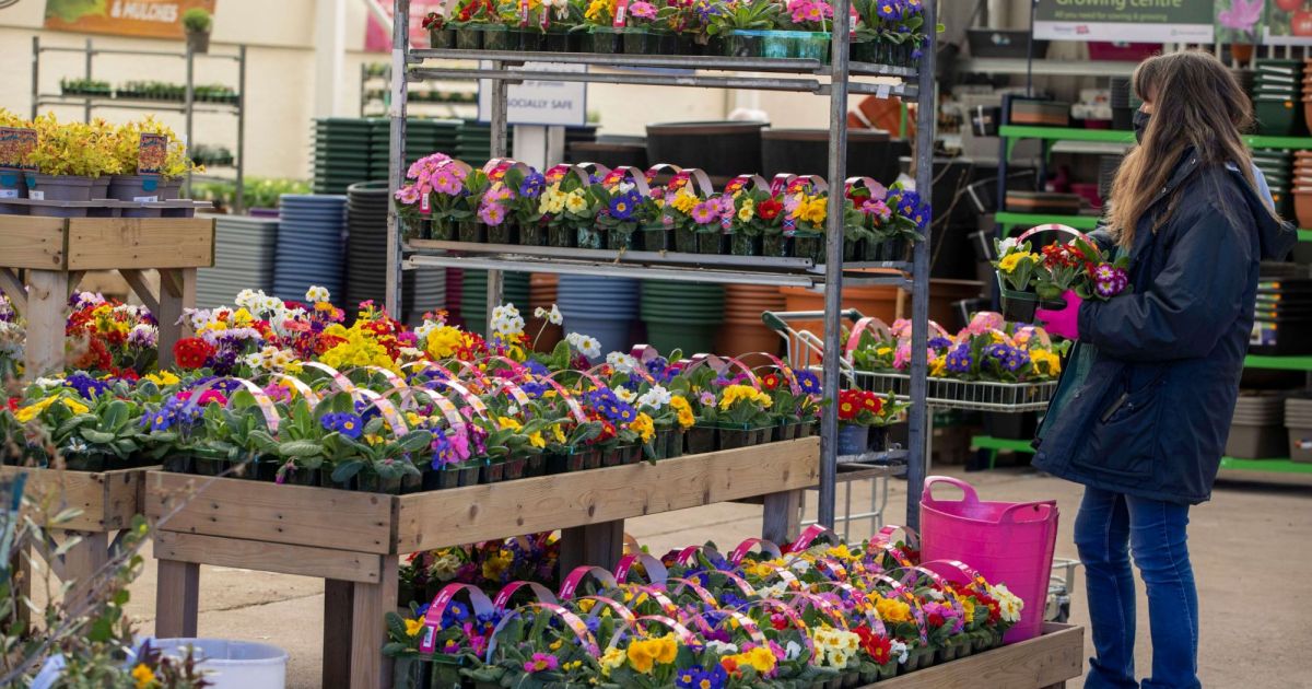 Things to do in Largs Visit Cardwell Garden Centre