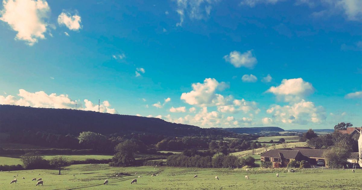 Things to do in Scarborough Visit Stepney Hill Farm