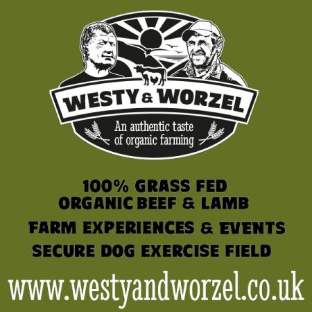 Things to do in Sidmouth & Ottery St Mary visit Westy and Worzel