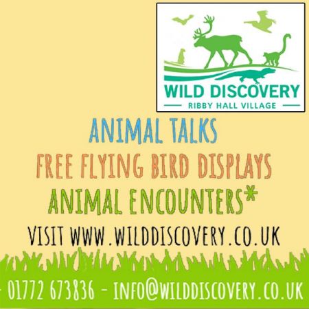 Things to do in Fleetwood visit Wild Discovery