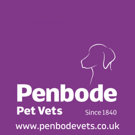 Things to do in Bude visit Penbode Vets